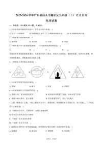 2025-2026学年广东省汕头市潮阳区九年级（上）月考化学试卷（12月份）（含答案）