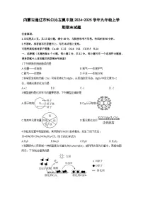 2024-2025学年内蒙古通辽市科尔沁左翼中旗九年级上学期期末化学试卷（学生版）
