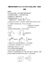 2024-2025学年内蒙古呼和浩特市九年级上学期1月期末化学试卷（学生版）