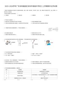 2025~2026学年广东深圳福田区深圳市高级中学初三上学期期中化学试卷（有答案解析）