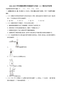 福建省莆田市荔城区九年级上学期期末考试化学试卷-A4