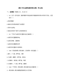 初中化学九年级上册第六单元 碳和碳的氧化物 单元卷及答案