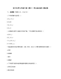 初中化学九年级下册第十一单元 盐 化肥 测试卷及分析