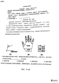 上海市南汇第三中学2025-2026学年九年级上学期12月月考化学试卷