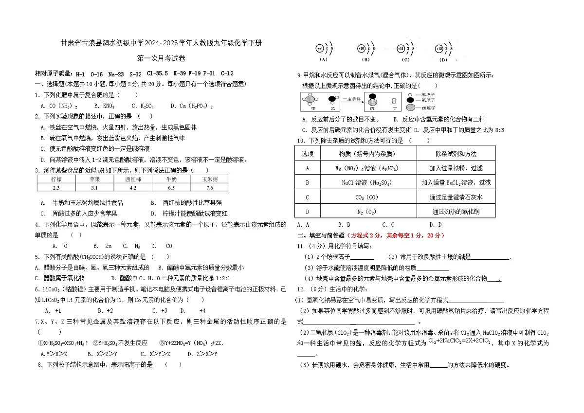 甘肃省古浪县泗水初级中学2024-2025学年人教版九年级化学下册第一次月考试卷无答案第1页
