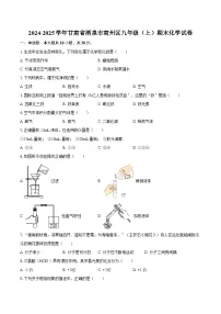 2024-2025学年甘肃省酒泉市肃州区九年级（上）期末化学试卷-自定义类型