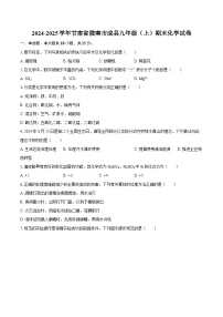 2024-2025学年甘肃省陇南市成县九年级（上）期末化学试卷-自定义类型