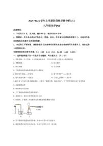 2025-2026学年河南省驻马店市上蔡县九年级上学期12月月考化学试卷(有答案)