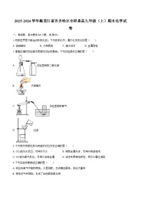 2025-2026学年黑龙江省齐齐哈尔市拜泉县九年级(上)期末化学试卷-自定义类型