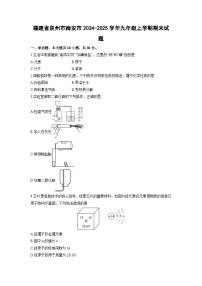 2024-2025学年福建省泉州市南安市九年级上学期期末化学试卷（学生版）