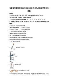 2024-2025学年安徽省淮南市东部地区九年级上学期期末化学试卷（学生版）