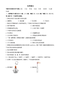 2025年甘肃省定西市临洮县中考一模化学试题（原卷版）-A4