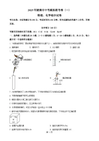 2025年甘肃省陇南市中考一模化学试题（原卷版）-A4