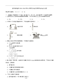 贵州省安顺市2025-2026学年上学期九年级化学期末综合练习试卷