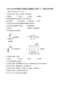 2025-2026学年黑龙江省绥化市绥棱县八年级（上）期末化学试卷-自定义类型