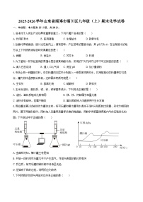 2025-2026学年山东省淄博市淄川区九年级（上）期末化学试卷-自定义类型