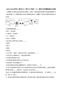 2025-2026学年上海交大二附中九年级(上)期末化学模拟练习试卷(含答案)