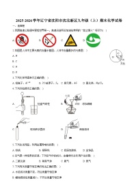 2025-2026学年辽宁省沈阳市沈北新区九年级（上）期末化学试卷（含答案）