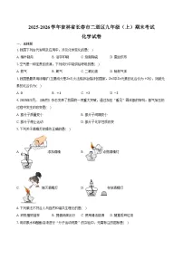 2025-2026学年吉林省长春市二道区九年级（上）期末化学试卷（含答案）