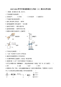 2025-2026学年甘肃省陇南市九年级（上）期末化学试卷-自定义类型