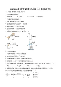 2025-2026学年甘肃省陇南市九年级（上）期末化学试卷-自定义类型