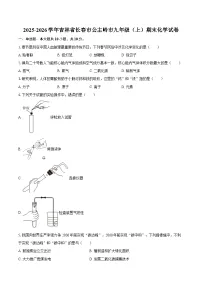 2025-2026学年吉林省长春市公主岭市九年级(上)期末化学试卷-自定义类型