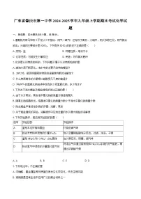 广东省肇庆市第一中学2024-2025学年九年级上学期期末考试化学试题-自定义类型