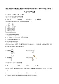 湖北省襄阳市樊城区襄阳市米芾中学2025-2026学年九年级上学期12月月考化学试题-自定义类型