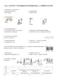 2025~2026学年广东深圳福田区深圳外国语学校初三上学期期中化学试卷（有答案解析）