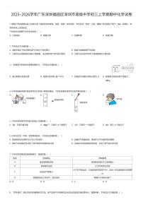 2025~2026学年广东深圳福田区深圳市高级中学初三上学期期中化学试卷（有答案解析）