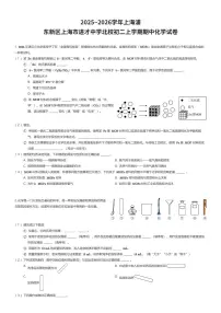 2025~2026学年上海浦东新区上海市进才中学北校初二上学期期中化学试卷（有答案解析）
