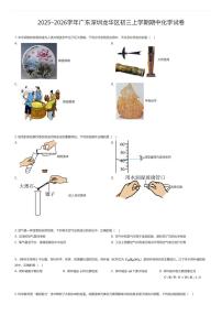 2025~2026学年广东深圳龙华区初三上学期期中化学试卷（有答案解析）