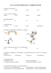 2025~2026学年天津南开区初三上学期期中化学试卷（有答案解析）