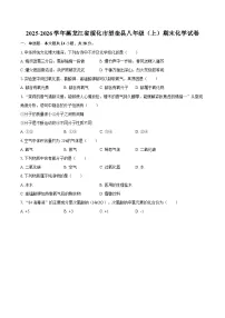 2025-2026学年黑龙江省绥化市望奎县八年级（上）期末化学试卷-自定义类型