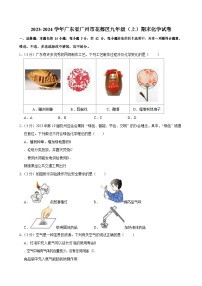 2023-2024学年广东省广州市花都区九年级上学期期末化学试题（含答案）