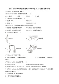 2025-2026学年陕西省宝鸡一中九年级（上）期末化学试卷-自定义类型