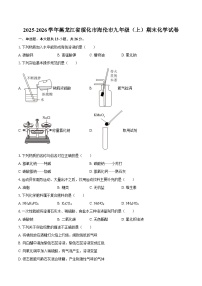 2025-2026学年黑龙江省绥化市海伦市九年级(上)期末化学试卷-自定义类型