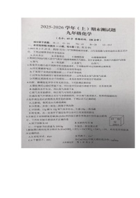 宁夏回族自治区固原市彭阳县2025--2026学年九年级上学期期末测试化学试题