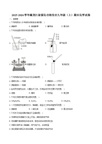 2025-2026学年黑龙江省绥化市海伦市九年级（上）期末化学试卷（含答案）