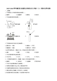 2025-2026学年黑龙江省绥化市海伦市九年级（上）期末化学试卷（含答案）