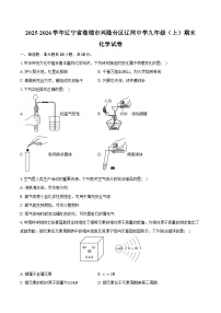 2025-2026学年辽宁省盘锦市兴隆台区辽河中学九年级（上）期末化学试卷（含答案）