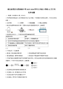 湖北省武汉市武珞路中学2025-2026学年九年级上学期12月月考化学试卷(含答案)