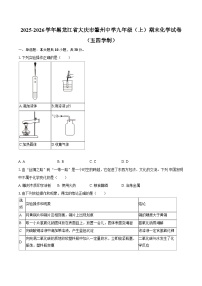 2025-2026学年黑龙江省大庆市肇州中学九年级(上)期末化学试卷(五四学制)-自定义类型