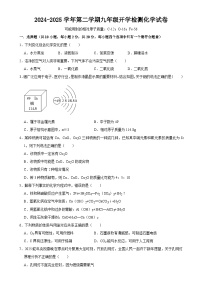 甘肃省武威市二十四中联片教研2024-2025学年九年级下学期开学检测化学试卷-A4