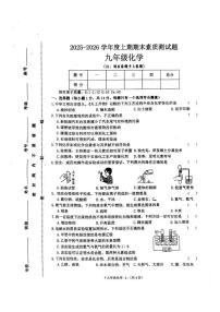 2025-2026学年河南省驻马店市泌阳县九年级上学期期末化学试题（图片版，含答案)