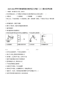 2025-2026学年甘肃省酒泉市肃州区九年级（上）期末化学试卷-自定义类型