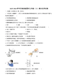 2025-2026学年甘肃省临夏州九年级（上）期末化学试卷-自定义类型