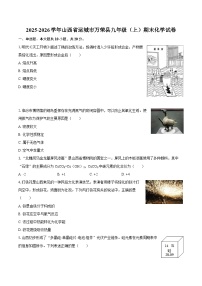 2025-2026学年山西省运城市万荣县九年级(上)期末化学试卷-自定义类型