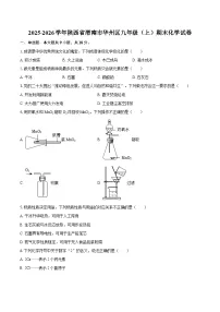 2025-2026学年陕西省渭南市华州区九年级(上)期末化学试卷-自定义类型