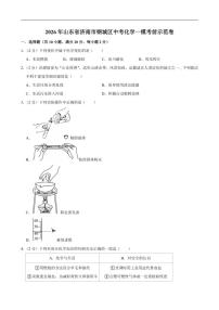 2026年山东省济南市钢城区中考一模考前示范化学试卷（有解析）